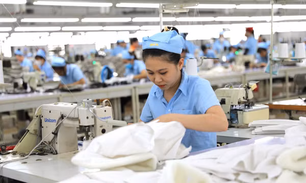 Tuyên Quang: Doanh nghiệp tăng, khu vực cá thể vẫn chiếm chủ đạo