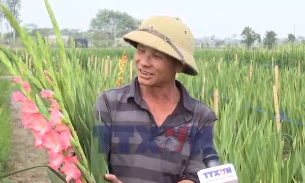 Phát triển vùng trồng hoa, cây cảnh gắn với du lịch nông thôn