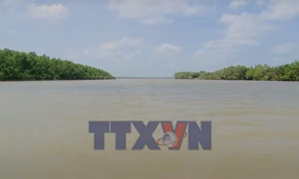 Đánh thức tiềm năng 'viên ngọc xanh' nơi hạ lưu Sông Hậu