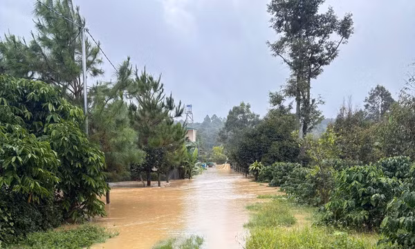 Sau mưa lớn, Lâm Đồng tập trung khắc phục hạ tầng, ổn định đời sống người dân