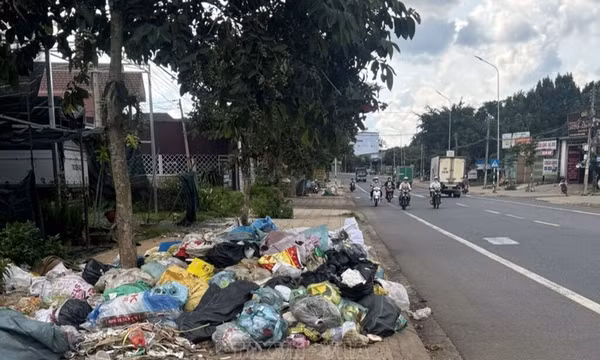 Lâm Đồng quy trách nhiệm người đứng đầu cấp xã nếu để gián đoạn thu gom rác thải