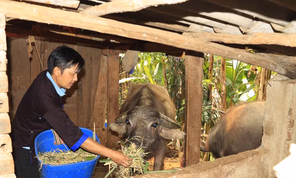 Đứng dậy sau vấp ngã và trở thành bí thư chi bộ uy tín