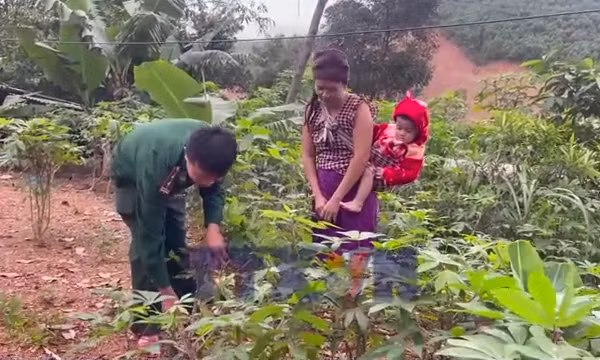 Từ canh tác nương rẫy đến những mô hình kinh tế xanh