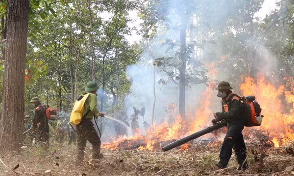 Đắk Lắk: Phòng cháy, chữa cháy rừng mùa khô