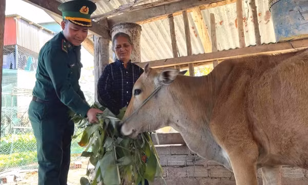 Giúp người dân biên giới có thêm nguồn lực vươn lên thoát nghèo bền vững