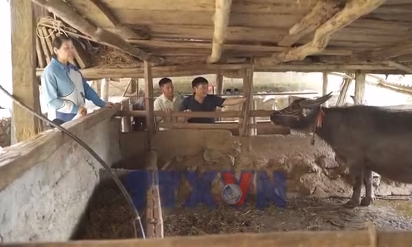 Khơi dòng vốn hỗ trợ đến tay nông dân