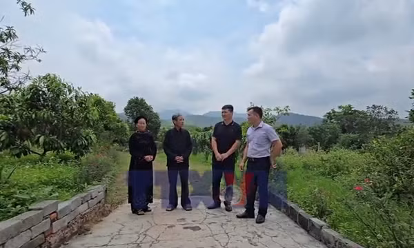 Đề xuất của bà con đồng bào dân tộc thiểu số Hải Phòng