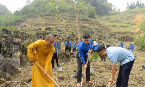Chung tay phủ xanh biên giới, hướng tới phát triển bền vững