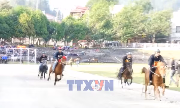 Festival mùa đông Bắc Hà mang đến nhiều trải nghiệm độc đáo
