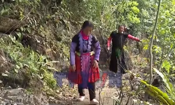 Người Mông Pà Cò giữ rừng để phát triển du lịch cộng đồng bền vững