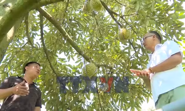 Vốn vay mở ra hướng thoát nghèo cho nông dân vùng biên Đồng Nai