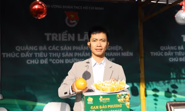 Thanh niên nông thôn bền bỉ làm giàu từ quê hương
