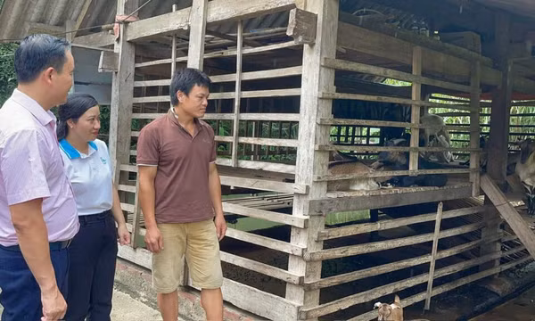 Ưu tiên đầu tư hạ tầng phát triển các xã khó khăn ở Thái Nguyên