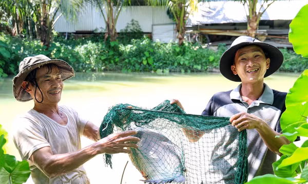 Làm giàu từ mô hình kinh tế tổng hợp
