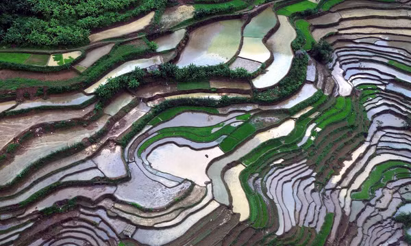 Mê hoặc ruộng bậc thang mùa nước đổ ở Mường La
