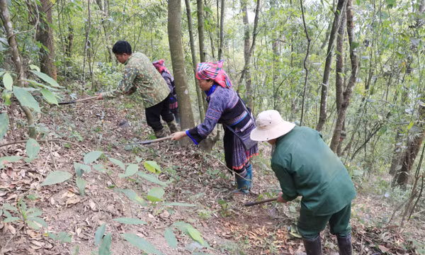 Siết chặt phòng cháy trong cao điểm nắng nóng