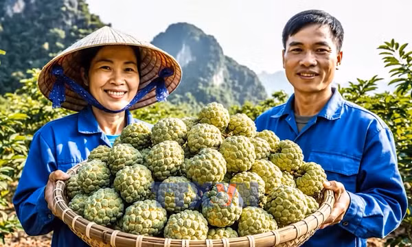 Na núi đá – sinh kế trên vùng đất khó