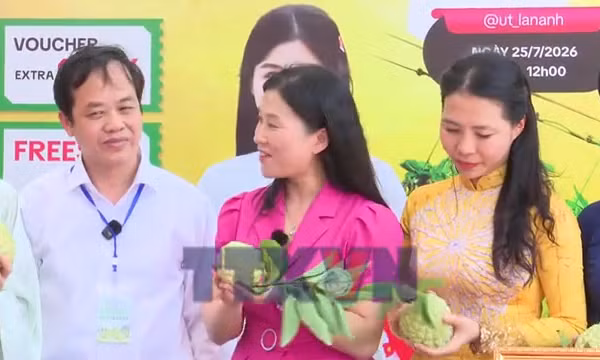 Giúp nông dân tiêu thụ nông sản chủ lực qua thương mại điện tử