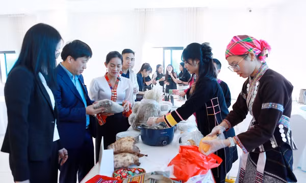 Bàn giải pháp thúc đẩy kết nối giao thương, mở rộng thị trường Tây Bắc