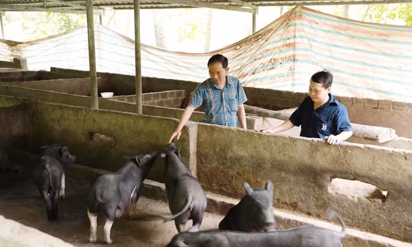 Đổi thay ở vùng đồng bào dân tộc Mảng
