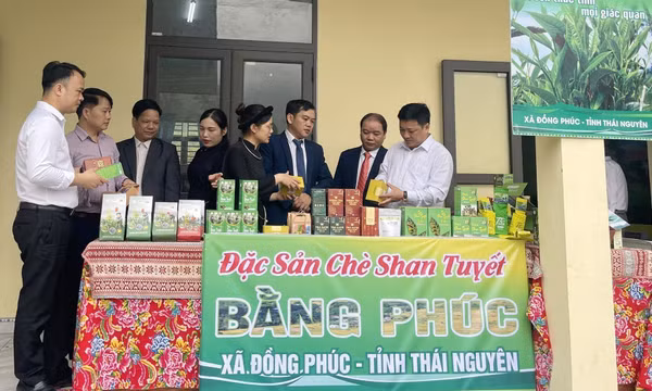 Hợp tác đa ngành thúc đẩy chuyển đổi số từ cơ sở