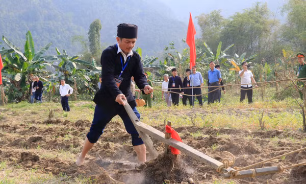 Lễ hội Lồng Tồng - nét văn hóa đặc sắc của người Tày vùng cao Lào Cai