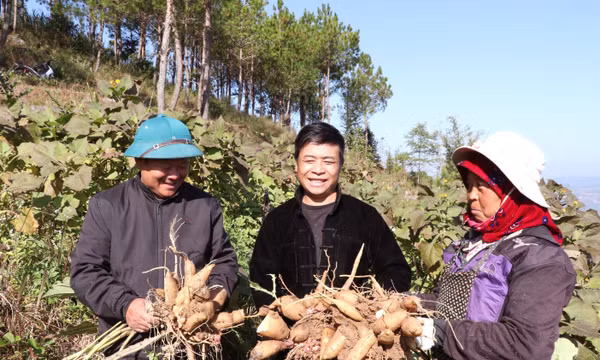 Đặt 'chuẩn cao' cho nông sản