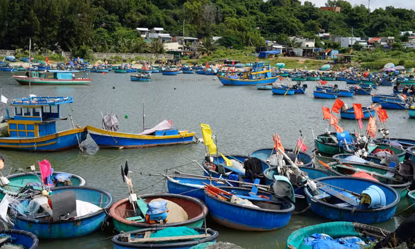 Mưu sinh bằng thuyền thúng - nét văn hóa bình dị của người dân vùng biển
