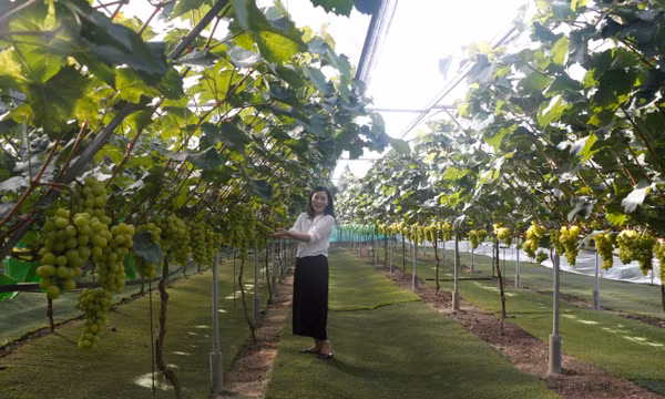 Du lịch Nghệ An dồn lực tái thiết