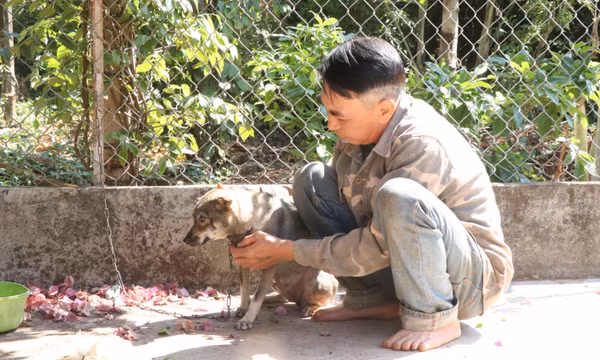 Siết chặt các biện pháp phòng, chống bệnh dại trong mùa nắng nóng