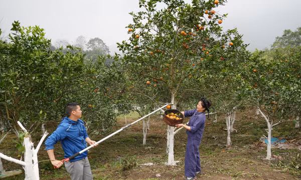 'Thủ đô kháng chiến' đang vươn mình