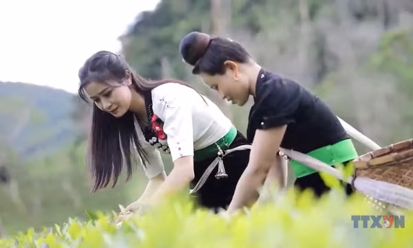 Điện Biên phát triển du lịch xanh gắn với bảo tồn văn hóa