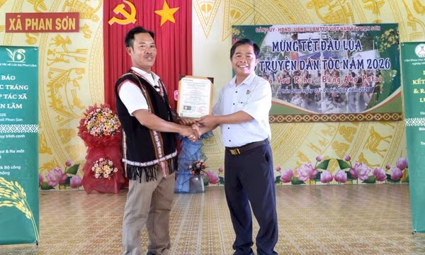 Lúa Mẹ ở vùng cao Phan Sơn (Lâm Đồng) đạt chứng nhận hữu cơ