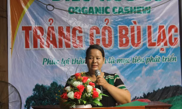 Hành trình đưa nông sản Việt từ bản làng vươn ra thế giới