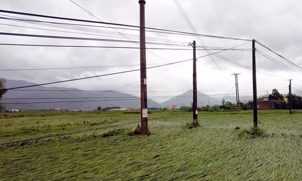 Mưa lớn kéo dài gây ảnh hưởng đến đời sống, sản xuất nông nghiệp