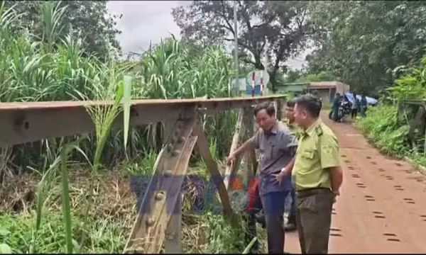 Truy tìm động vật lạ nghi cá sấu tại xã biên giới