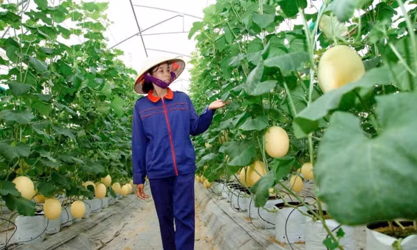 Sản phẩm OCOP 'lên đời' nhờ du lịch