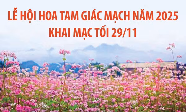 Lễ hội Hoa tam giác mạch năm 2025 khai mạc tối 29/11/2025