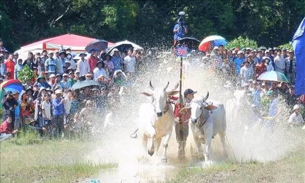 Công tác bảo tồn văn hóa của đồng bào Khmer ở Việt Nam được đánh giá cao