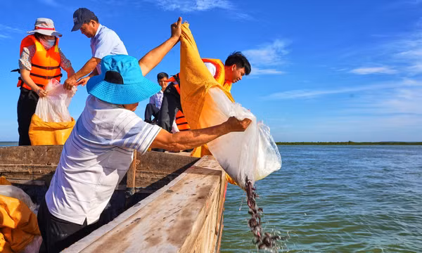 Thả 65.000 cá giống tạo nguồn lợi thủy sản hồ Dầu Tiếng