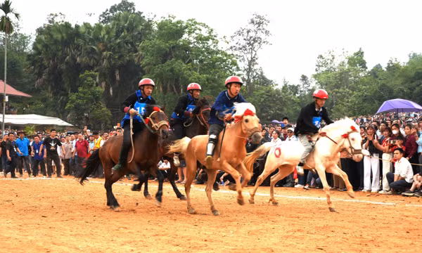 Nét riêng độc đáo của đua ngựa vùng cao thu hút du khách