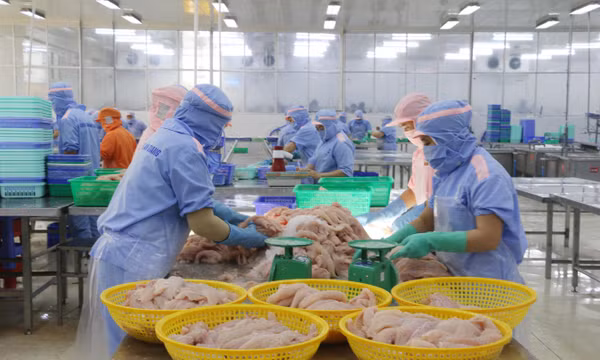  An Giang mở rộng cửa thu hút đầu tư, phát triển kinh tế tư nhân
