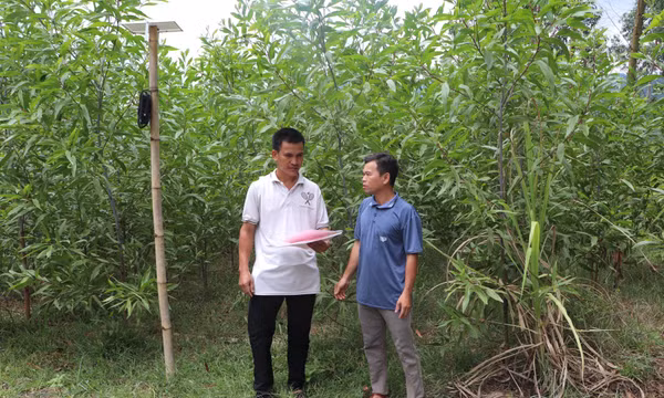 Gỡ vướng thủ tục đất đai, đồng bào Hre yên tâm sản xuất
