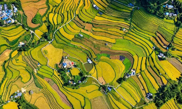 Độc đáo Ngày hội 'Mùa vàng Tả Lèng' lần đầu tiên được tổ chức tại Lai Châu