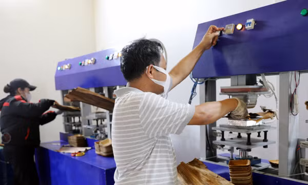 Hồi sinh phế phẩm mo cau hướng tới xuất khẩu