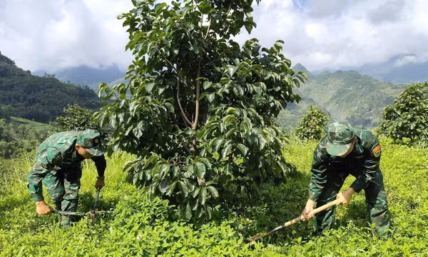 Bộ đội Biên phòng đồng hành xây dựng nông thôn mới vùng biên
