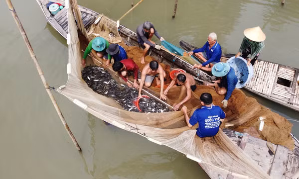Nghề dỡ chà - nét đẹp văn hóa sông nước miền Tây
