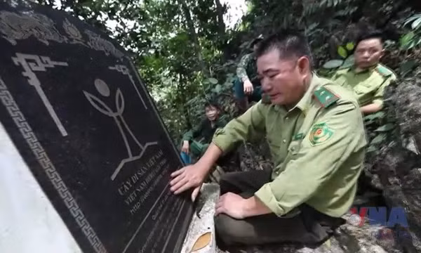 'Kho vàng nghiến' và những người giữ rừng bằng trái tim 