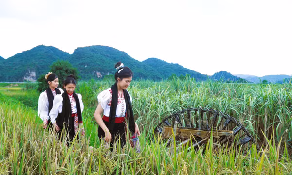 Du lịch trải nghiệm hút khách