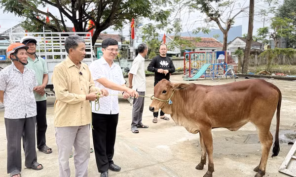 Niềm vui ở vùng tâm lũ ngày giáp Tết